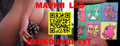 spice Будённовск