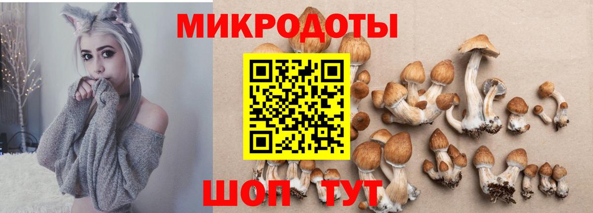 Ступино  Галлюциногенные грибы ЛСД  что такое наркотик  Вход с VPN 